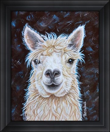 Framed Alpaca Print