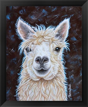 Framed Alpaca Print