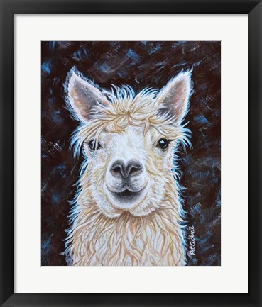 Framed Alpaca Print