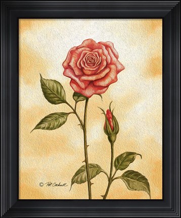 Framed Rose on Peach Print