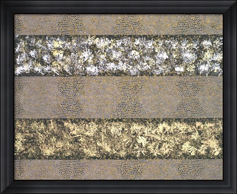 Framed Shagreen Print