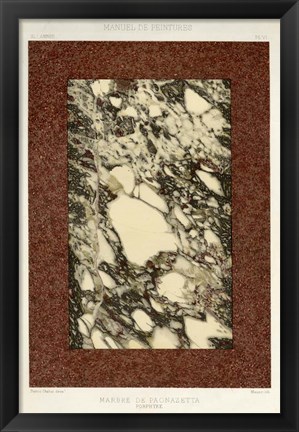 Framed Marble Varieties V Print