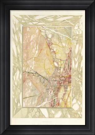 Framed Marble Varieties VIII Print