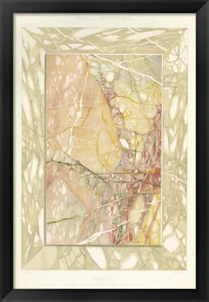 Framed Marble Varieties VIII Print