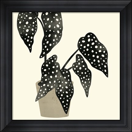Framed Plantling III Print