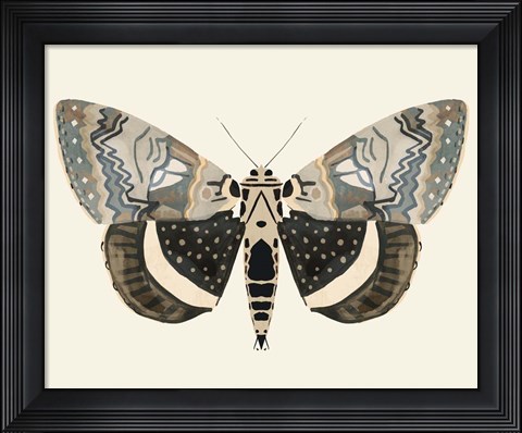 Framed Neutral Moth I Print