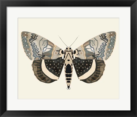 Framed Neutral Moth I Print