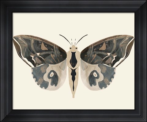 Framed Neutral Moth II Print