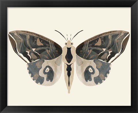 Framed Neutral Moth II Print