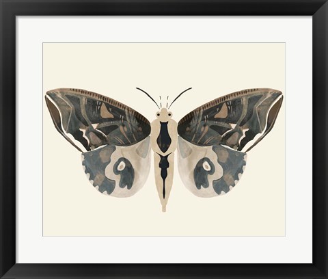 Framed Neutral Moth II Print