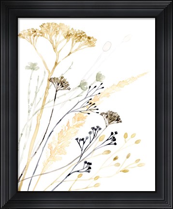 Framed Summer&#39;s Souvenir II Print