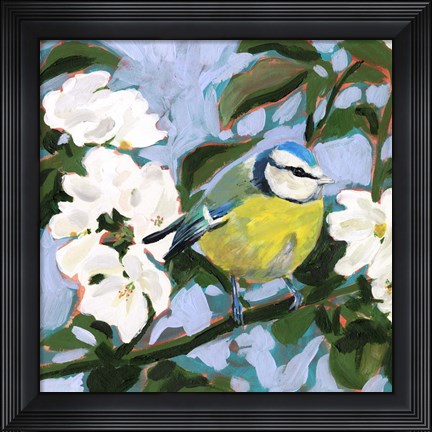 Framed Perching I Print