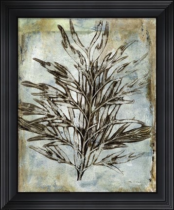 Framed Presence of Nature III Print