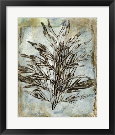 Framed Presence of Nature III Print