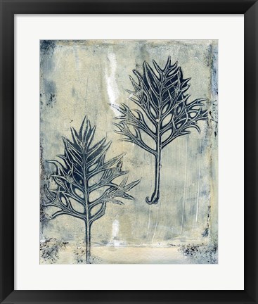 Framed Presence of Nature IV Print