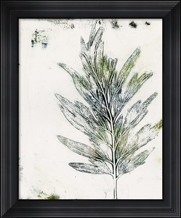 Framed Presence of Nature VIII Print