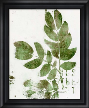 Framed Presence of Nature X Print