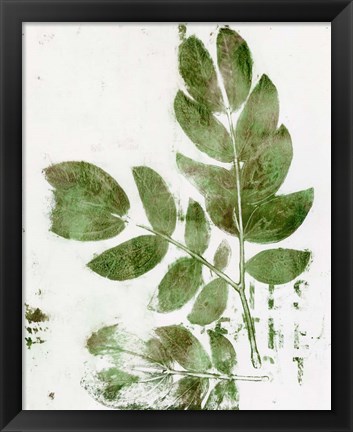 Framed Presence of Nature X Print
