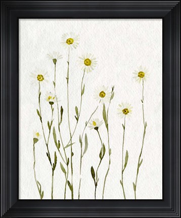 Framed White Antique Daisies I Print
