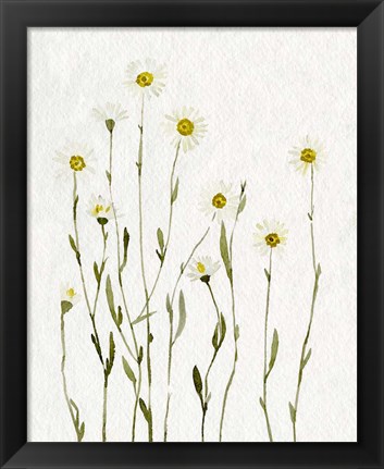 Framed White Antique Daisies I Print