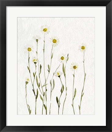 Framed White Antique Daisies I Print