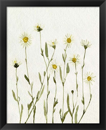 Framed White Antique Daisies II Print