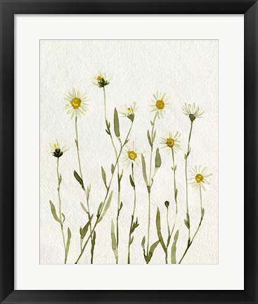 Framed White Antique Daisies II Print