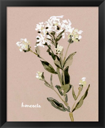 Framed White Bonesets II Print