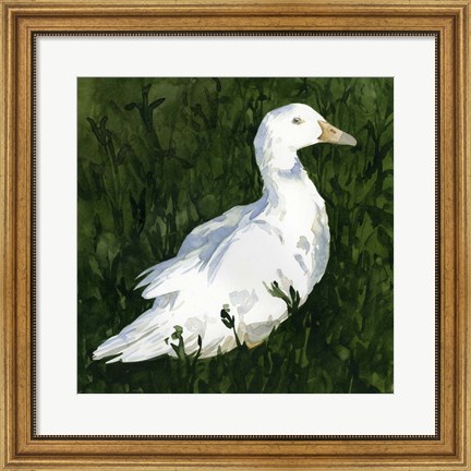 Framed Lone Duck I Print