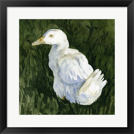 Framed Lone Duck II Print