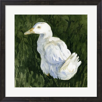 Framed Lone Duck II Print
