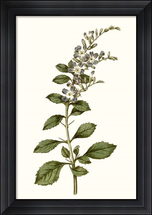 Framed Soft Blue Botanicals I Print