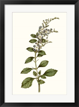 Framed Soft Blue Botanicals I Print