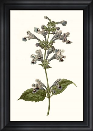 Framed Soft Blue Botanicals III Print