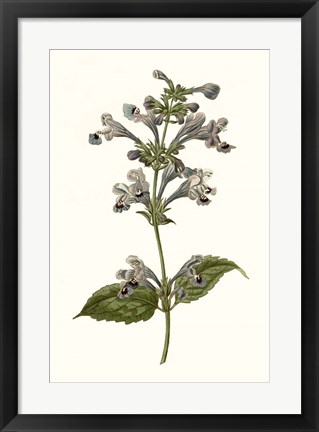 Framed Soft Blue Botanicals III Print