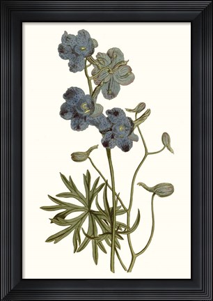 Framed Soft Blue Botanicals V Print