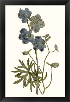 Framed Soft Blue Botanicals V Print