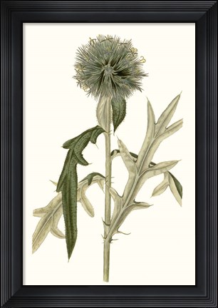 Framed Soft Blue Botanicals VI Print