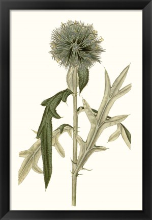 Framed Soft Blue Botanicals VI Print