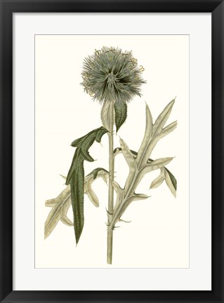 Framed Soft Blue Botanicals VI Print