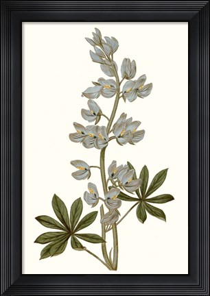 Framed Soft Blue Botanicals VIII Print