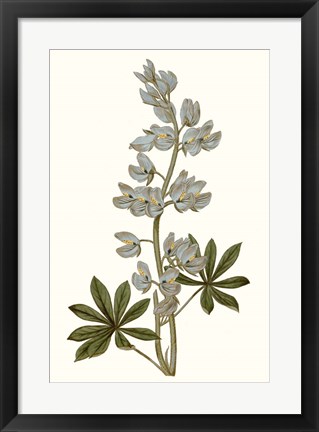 Framed Soft Blue Botanicals VIII Print