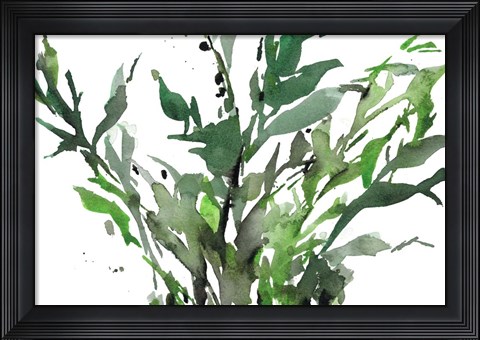 Framed Just the Leaves II Print