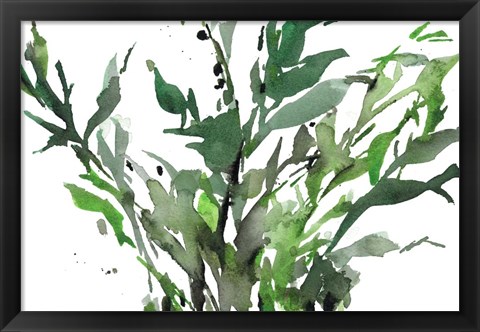 Framed Just the Leaves II Print