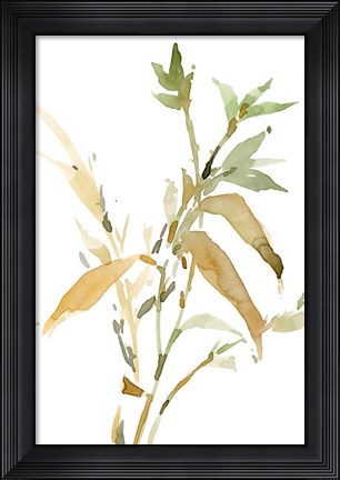 Framed Stems I Print