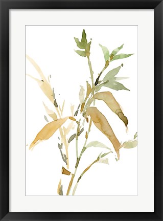 Framed Stems I Print