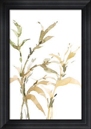 Framed Stems II Print
