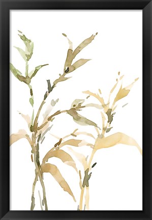 Framed Stems II Print