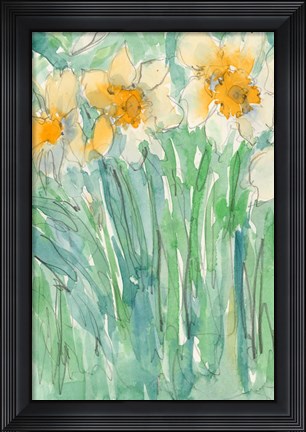 Framed Daffodils Stems I Print