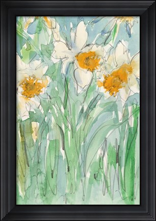Framed Daffodils Stems II Print